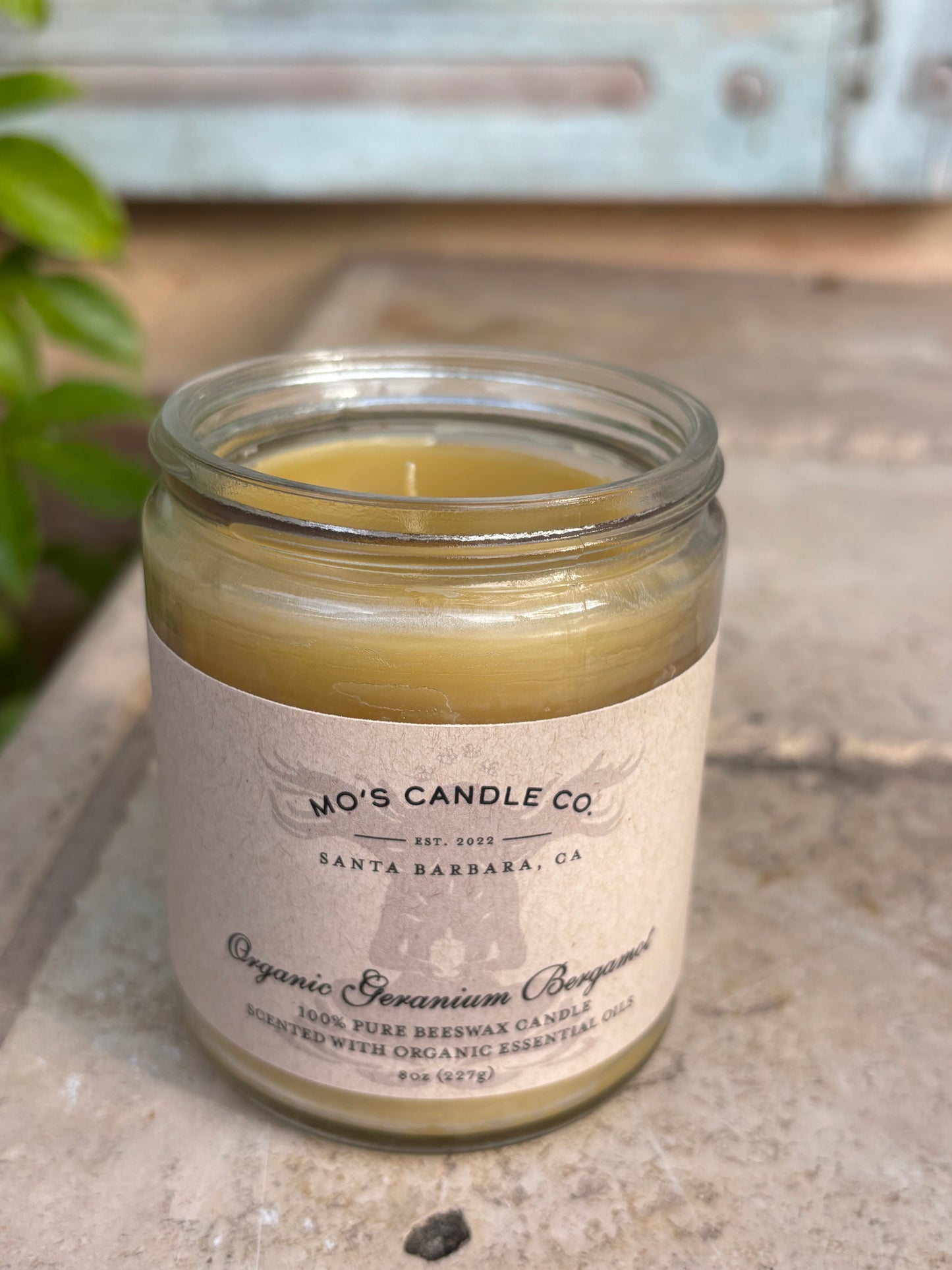 Organic Scented Beeswax Candles | Non-Toxic