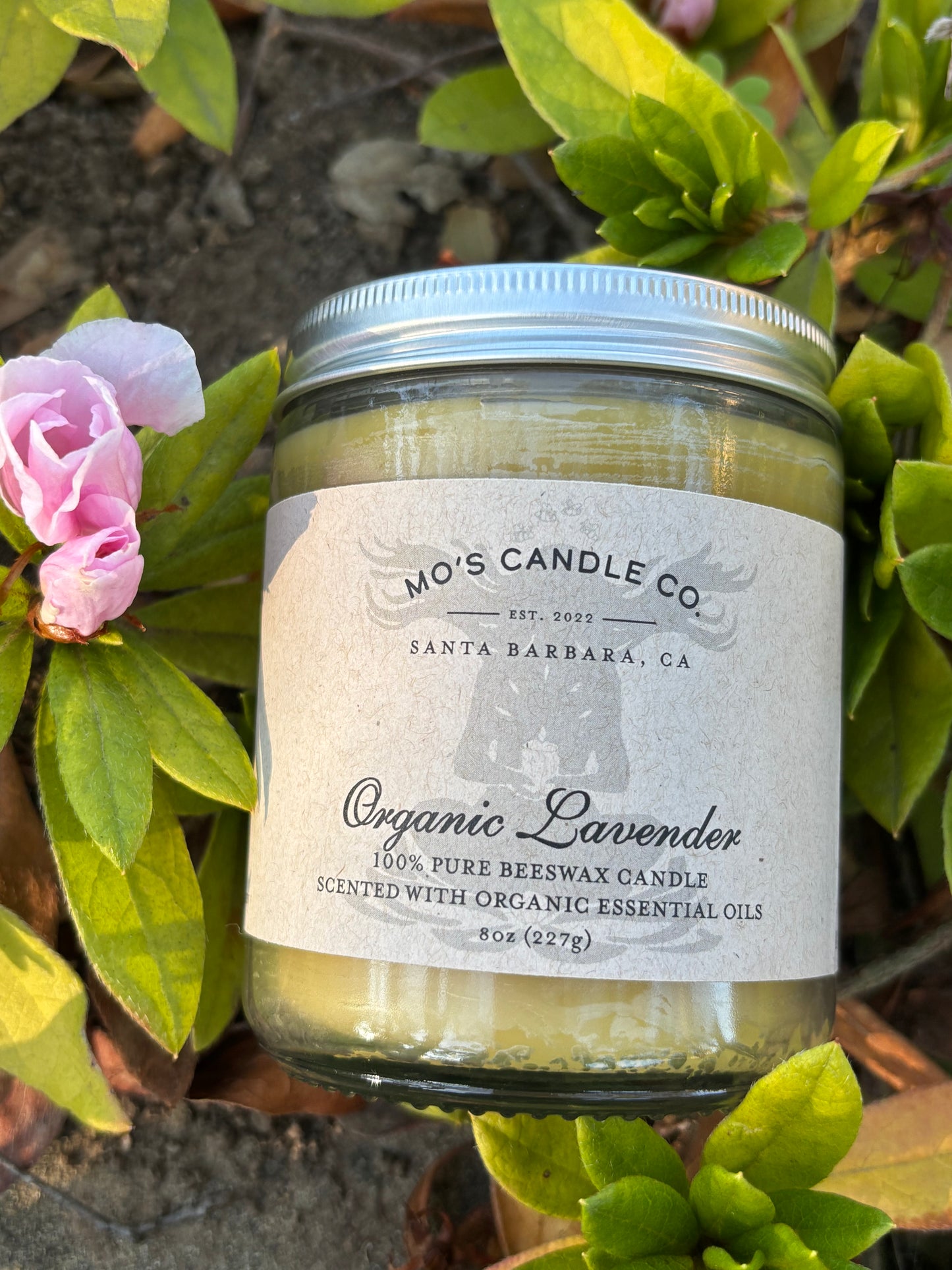 Organic Scented Beeswax Candles | Non-Toxic